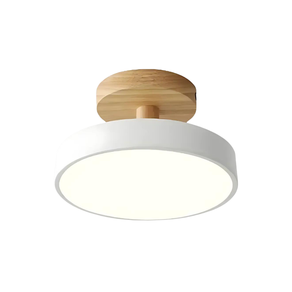Soreia – Compact Modern LED Ceiling Light
