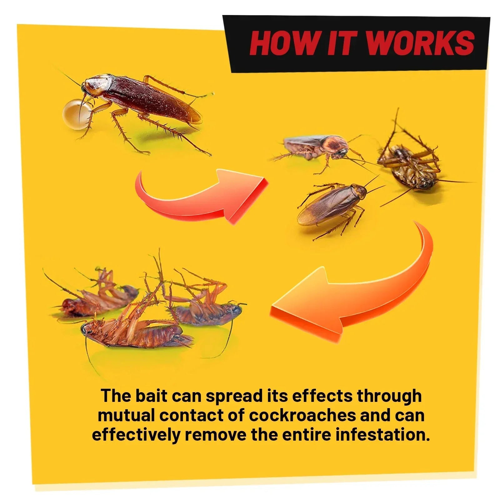 Erovanix – Natural Cockroach Gel Non Toxic Indoor Use