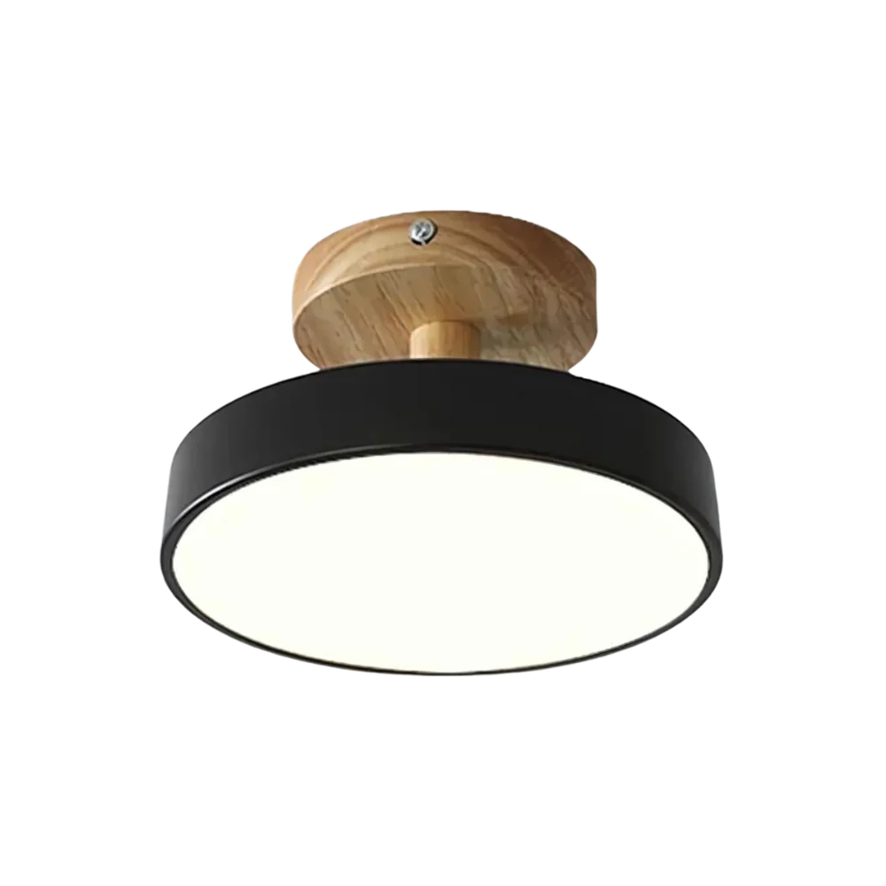 Soreia – Compact Modern LED Ceiling Light