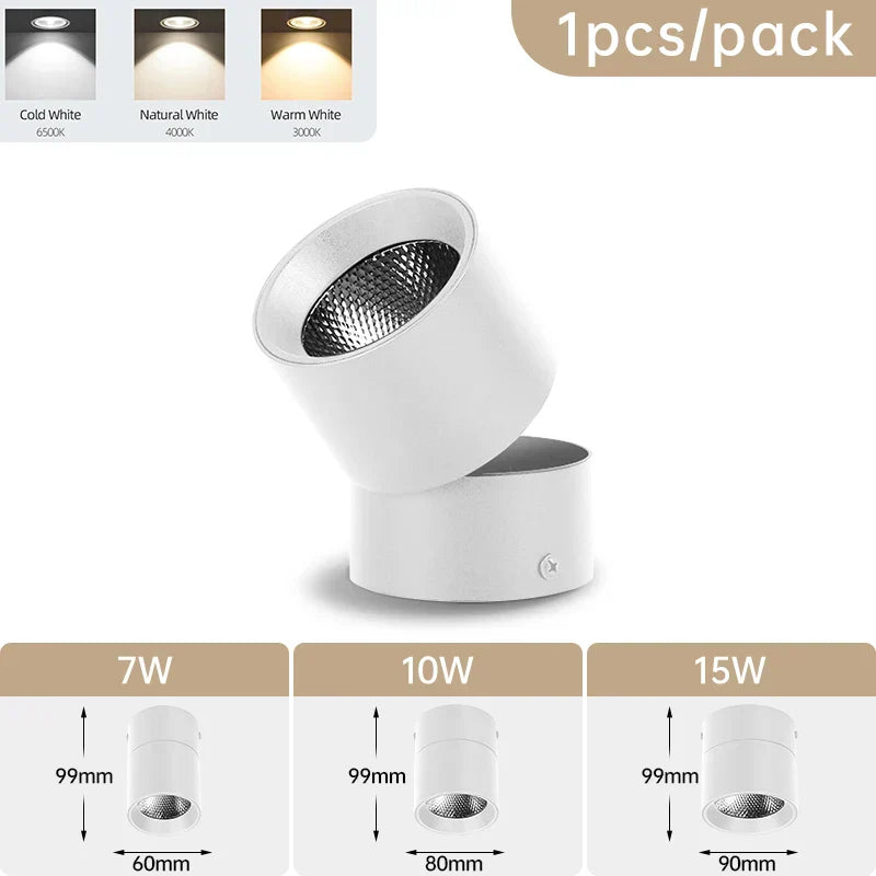 Zyphra – LED Surface Mounted Recessed Spot Tri Color Ceiling Light