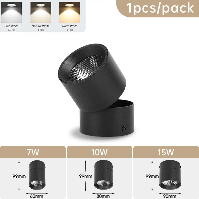 Zyphra – LED Surface Mounted Recessed Spot Tri Color Ceiling Light