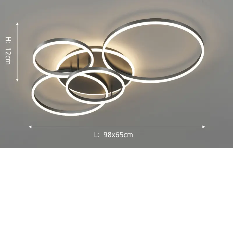 Velia – Modern Black Ceiling Lamp